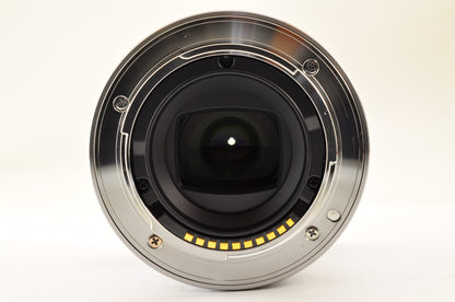 [Top Mint+++ in BOX] SONY E 30mm f/3.5 SEL30M35 SILVER E-Mount Macro Lens US OR