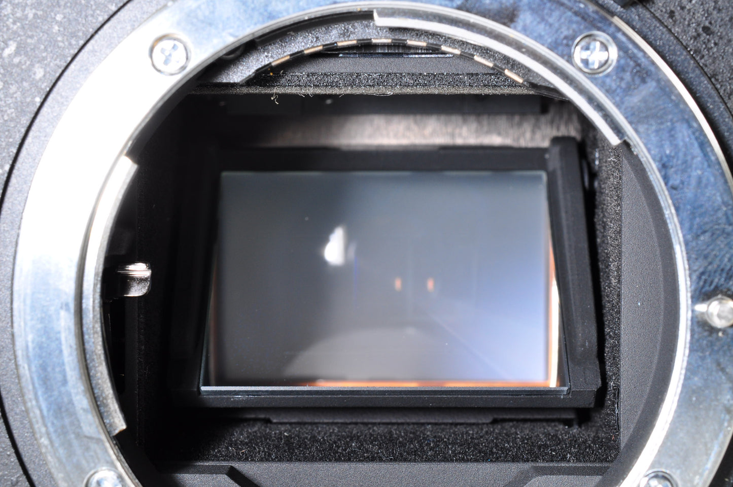 [Mint+ Count: 4191] Nikon D700 12.1MP FX Digital SLR Camera Body Ship from USA