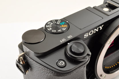 [Mint] SONY Alpha A6000 Mirrorless Camera Silver w/ SELP1650 & SEL16F28 USA