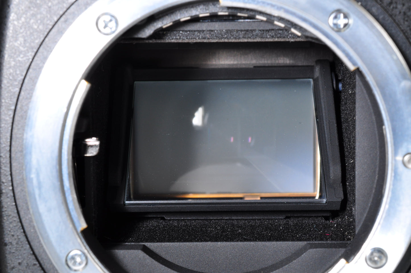 [Mint+ Count:2977] Nikon D700 12.1MP FX Digital SLR Camera Body Ship from USA